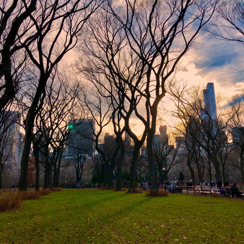 Meet your Posher, Sofia